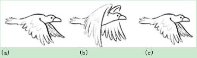 Figure 11: The adaptive 3D comb filter relies on a decoder to correctly detect image movement. This is the normal sequence of birds dancing wings - down (a), up (b), then down (c).