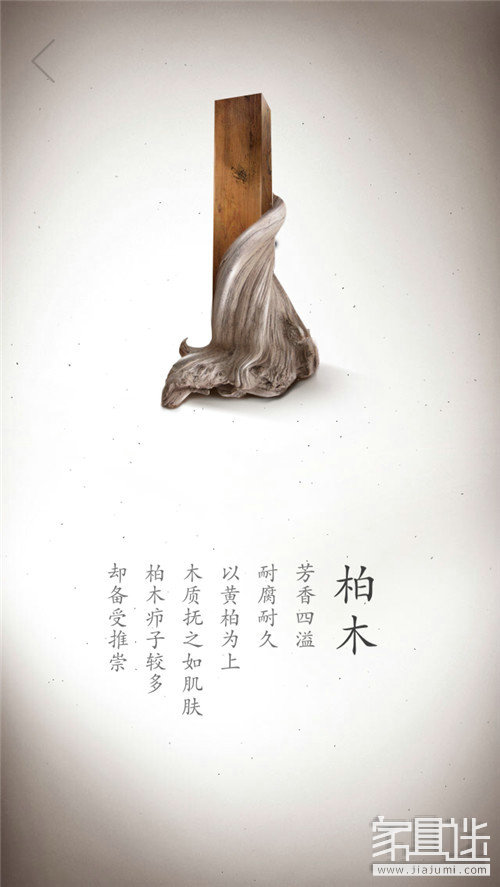 Wood (8)_1.jpg