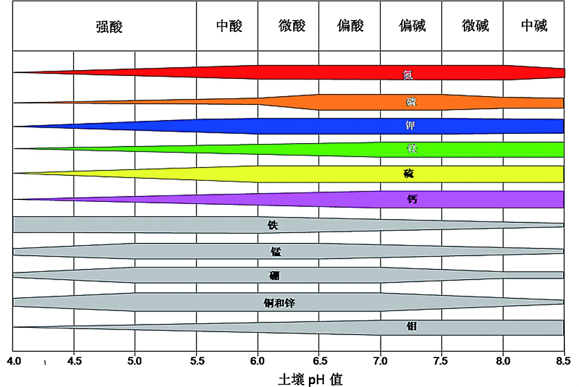 The wider the color and gray bars, the higher the absorption efficiency of the nutrient; the thinner, the lower the absorption efficiency. The figure is the soil pH (pH).