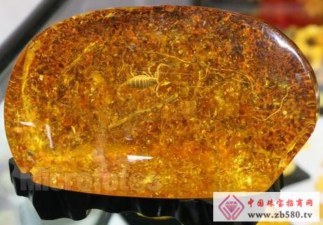 Selection of amber rough
