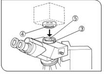 Microscope interface