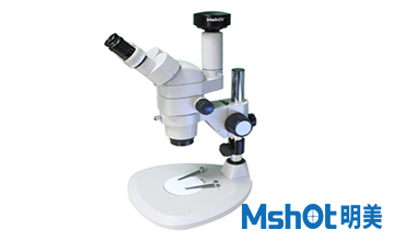 Stereo microscope MZ81