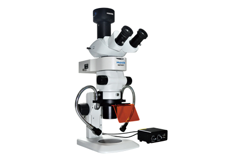 Stereoscopic fluorescence microscope MZX81