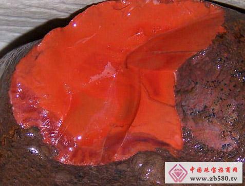 South red agate ingredients