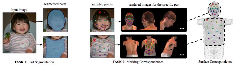 The collaboration between FAIR and INRIA proposes a new model of human pose estimation for human body 3D surface construction