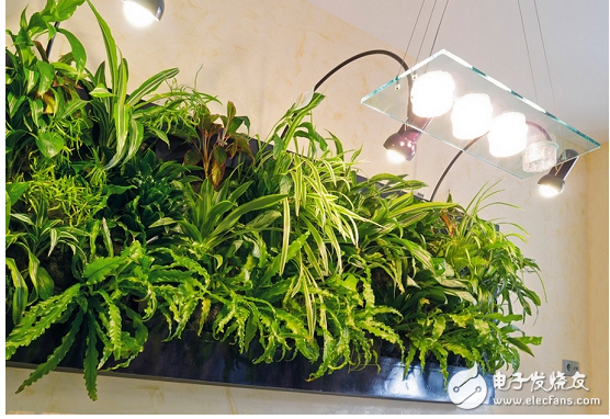 Can led lights really fill the plants?