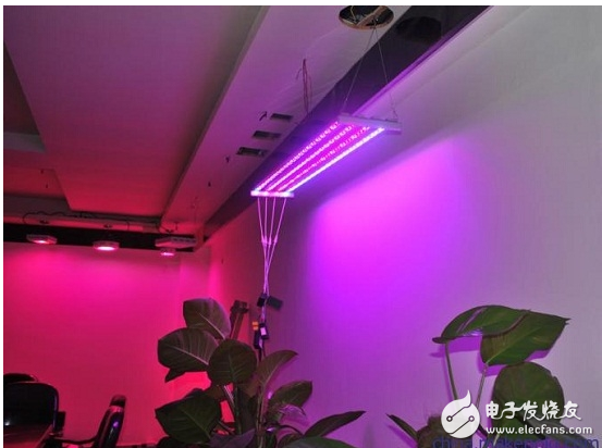 Can led lights really fill the plants?