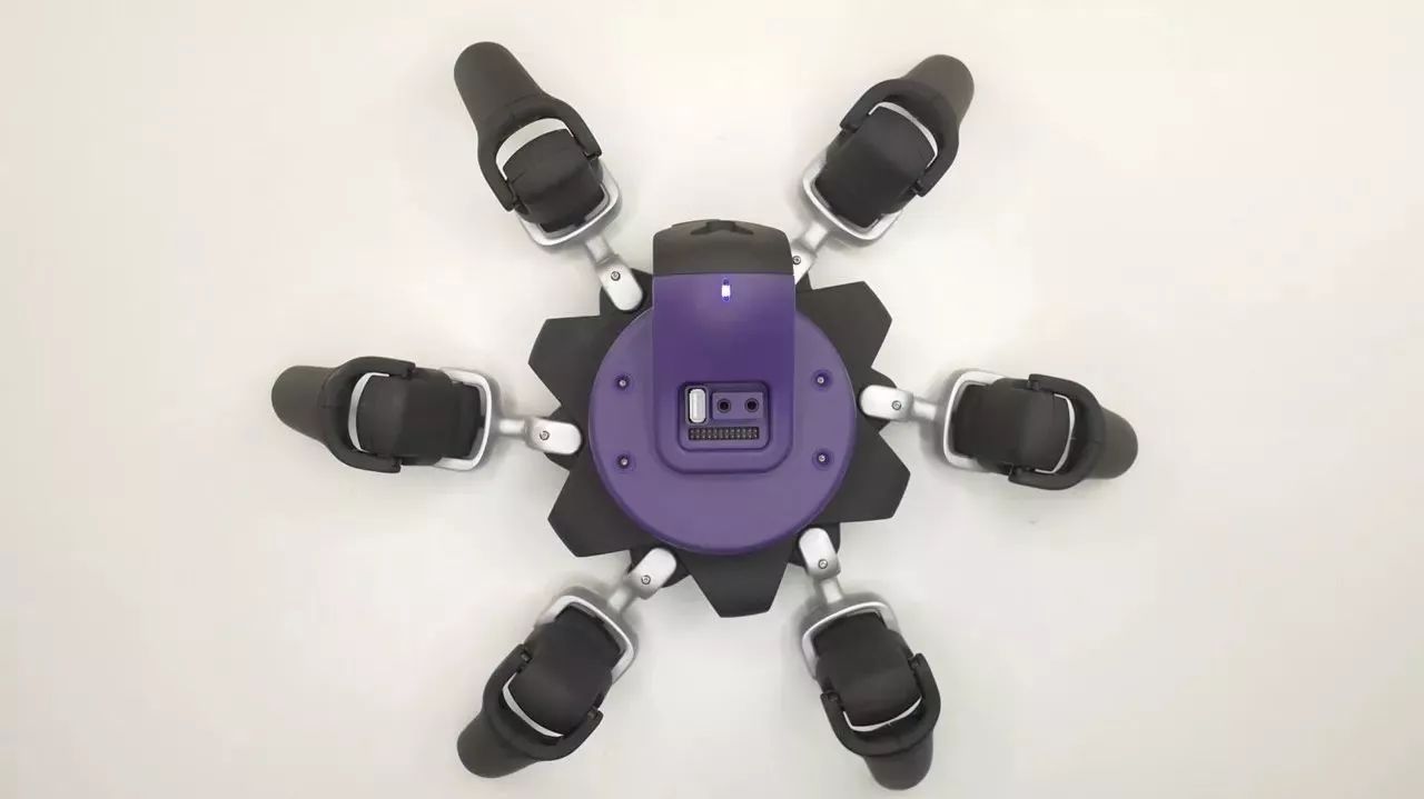 Introduction to the application and gameplay of the hexapod robot HEXA and a platform for robot learning and development