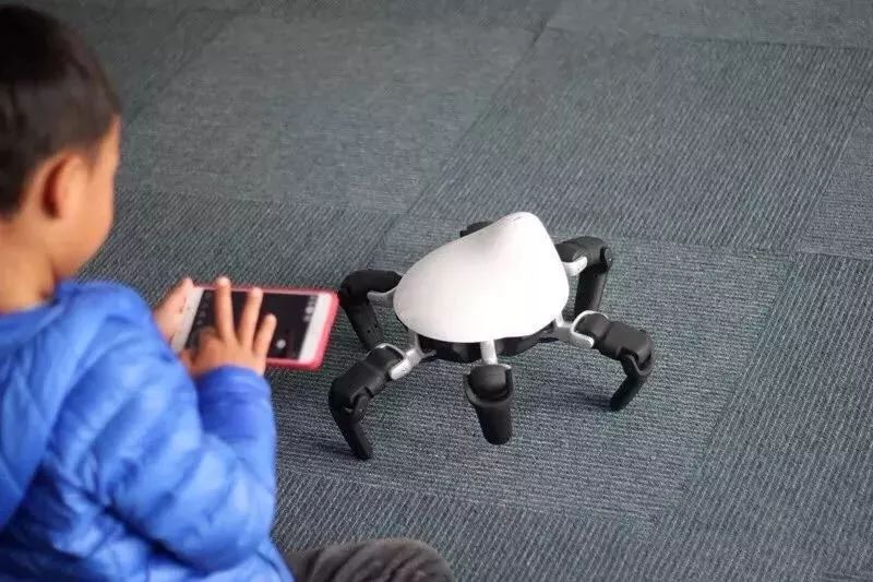 Introduction to the application and gameplay of the hexapod robot HEXA and a platform for robot learning and development