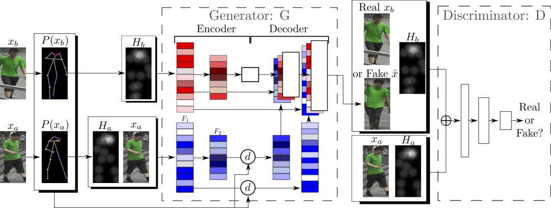 Trento University collaborates with Inria: Using GAN to generate new pose images of the human body