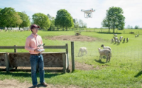 U.S. university research team plans to use drones to monitor the flock