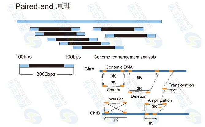 High-throughput sequencing common nouns