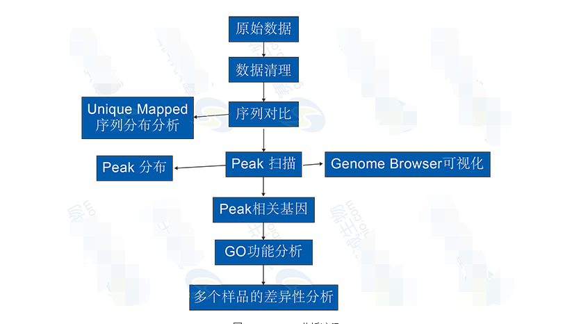 High-throughput sequencing bioinformatics analysis