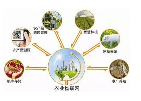 What are the directions for agricultural internet of things?