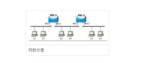 What are the data link layer devices?