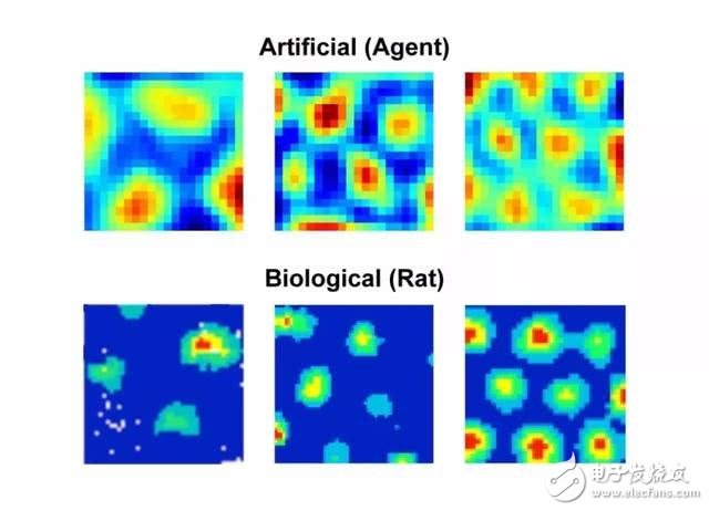 Scientists have created a complex neural network to simulate the spatial navigation capabilities of the brain through AI technology.