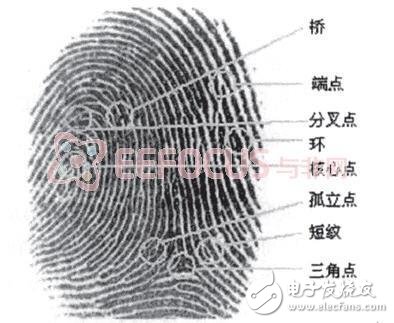 A detailed tutorial on college students' physical exercise management system based on fingerprint recognition