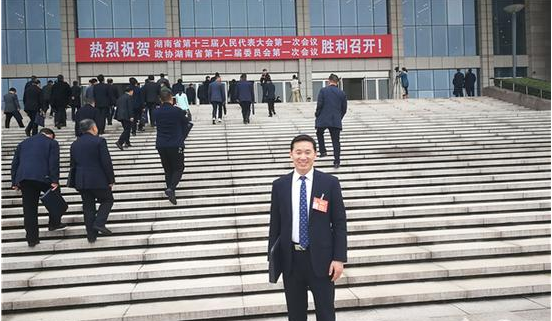 Provincial People's Congress representative Xie Liangqiong: Building a smart grid equipment industry cluster based on Hengyang