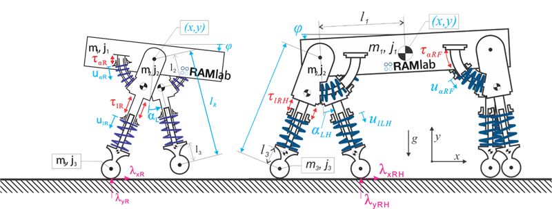 How to get robot gait to reduce energy consumption