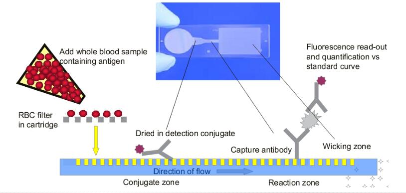 How to understand the working principle of microfluidic chip