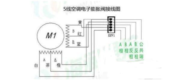 How to choose the type of electronic expansion valve _ how to distinguish the electronic expansion valve 5 line