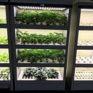 LED ecological planting cabinet using soilless culture was unveiled at the 2018 World Manufacturing Conference