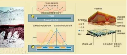 Smart fingerprint lock principle configuration structure and function details