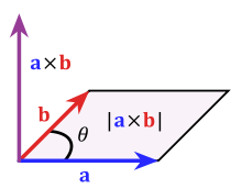 What is linear algebra? What is the meaning of existence?