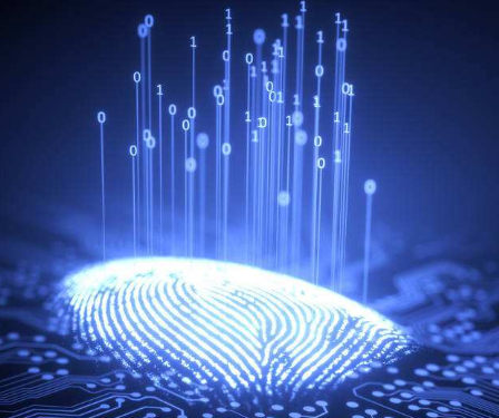 Among the many biometric technologies currently available, which one is the final choice?