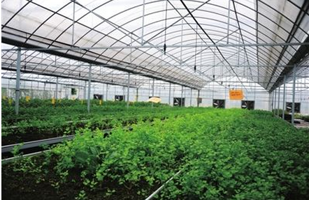 Application of temperature and humidity sensor in agriculture