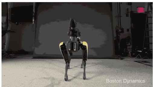 What can Boston Dynamics Internet celebrity robots do?