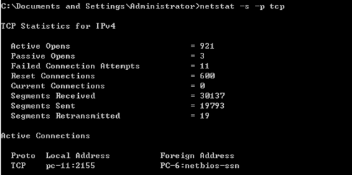 How to use netstat