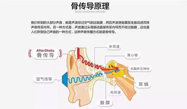 Deep analysis of the principles, advantages and applications of bone conduction technology