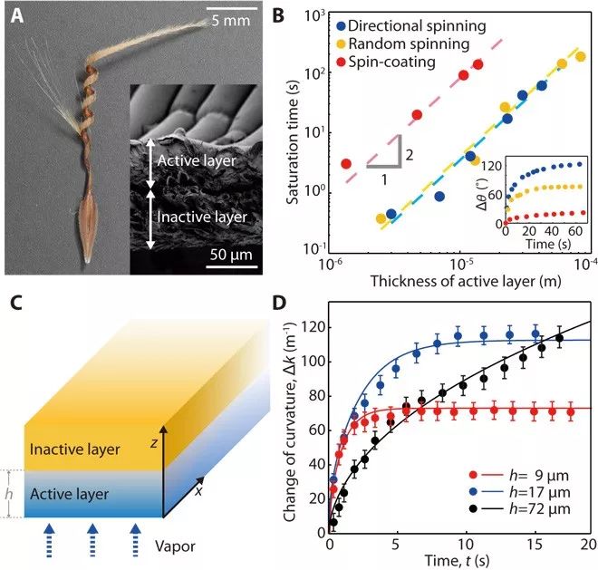 Korean researchers have developed a small robot that operates on humidity