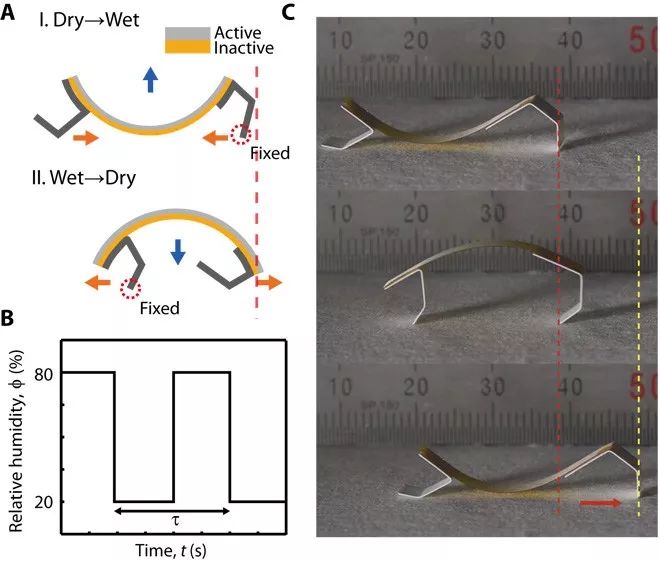 Korean researchers have developed a small robot that operates on humidity