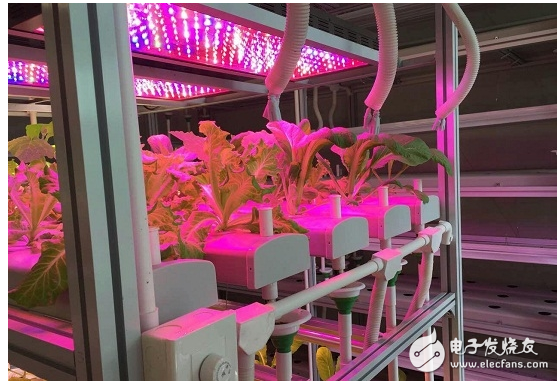 Can led lights really fill the plants?