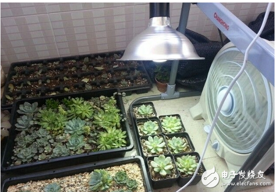 Can led lights really fill the plants?