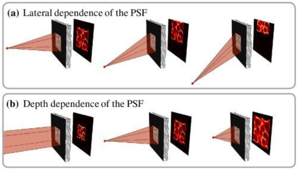 Lens-free camera DiffuserCam observable neurons or for self-driving vision