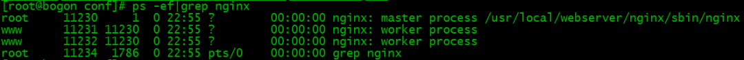 Simple comparison between Apache and Nginx and basic usage of Nginx