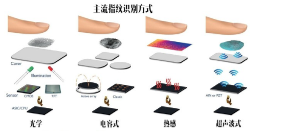 Screen fingerprinting is the future? Mobile phone manufacturers focus on R&D screen fingerprints