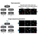 COG data sets are based on a programming language