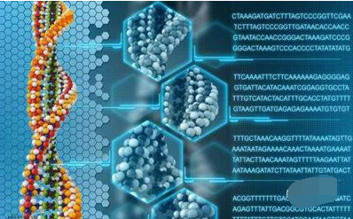 High-throughput sequencing common nouns