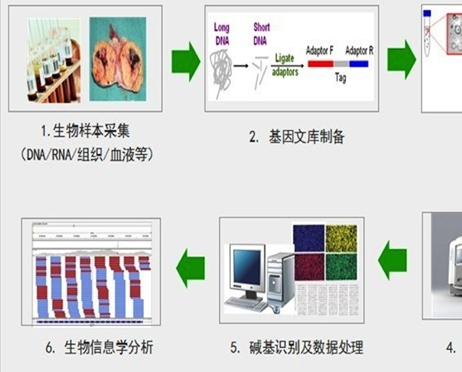 High-throughput sequencing technology and its application