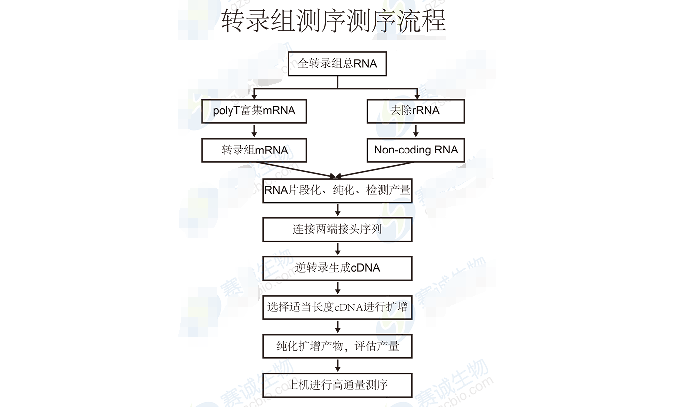 High-throughput sequencing bioinformatics analysis