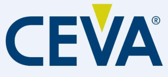 CEVA Dynamic Speaker Management (DSM) software creates a louder and richer listening experience for customers