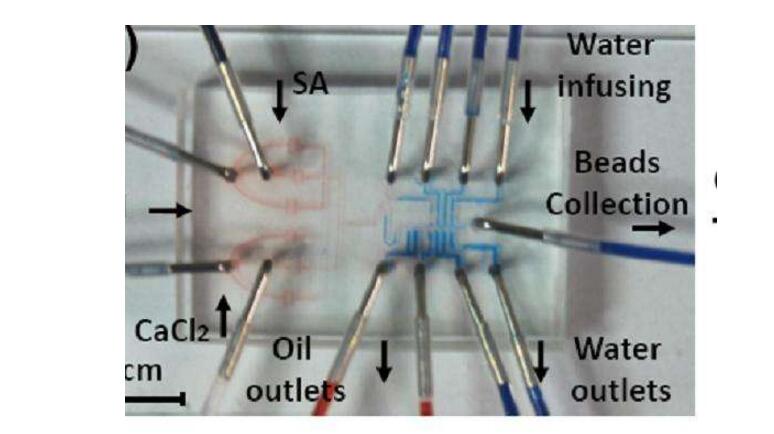 Detailed microfluidic chip production method