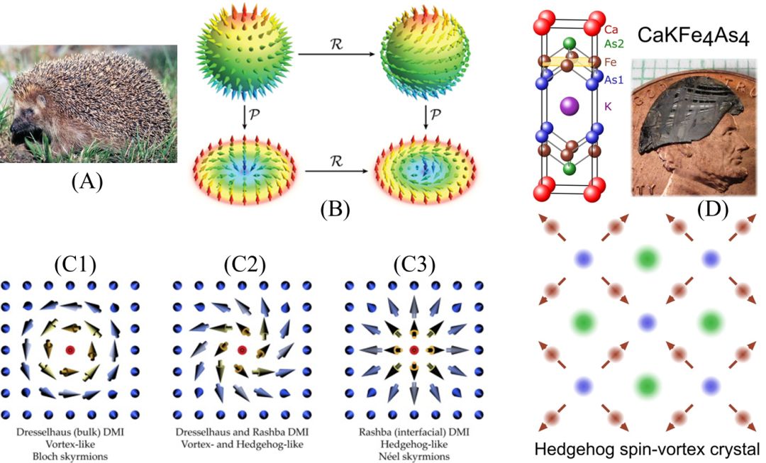 Iron-based superconductors. Heavy fermion compounds. Pseudogap. Overview of these quantum materials