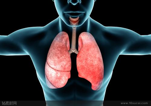 New rapid imaging technology for human lungs provides a new tool for the diagnosis of lung diseases