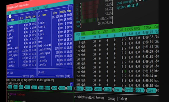 How to use WSL to perform tasks in Linux