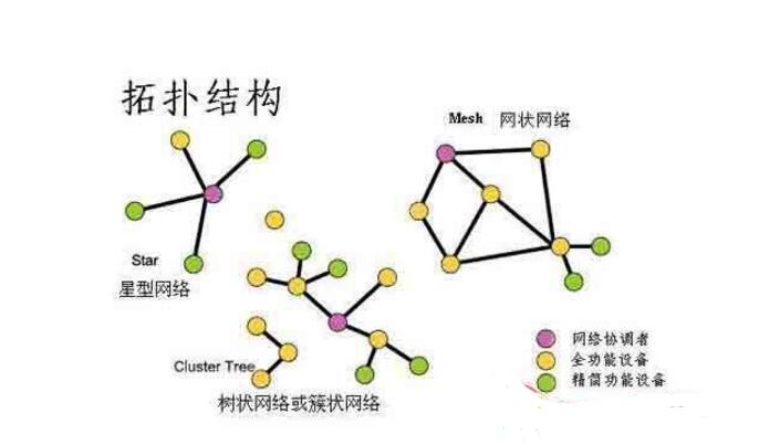 What are the advantages and disadvantages of the bus topology?